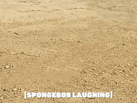 season 5 GIF by SpongeBob SquarePants