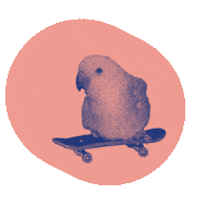 Parrot Cp Sticker by La Condition Publique