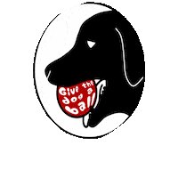 givethedogaball dog ball bounce fetch Sticker
