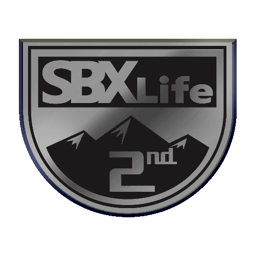SBXLife giphyupload snowboarding podium 2nd place Sticker