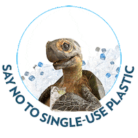 Earth Sticker by sodastreams