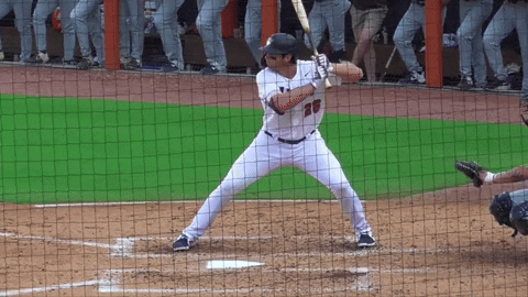 tesstass giphyupload GIF
