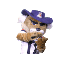 College Sports Arizona Sticker by College Colors Day