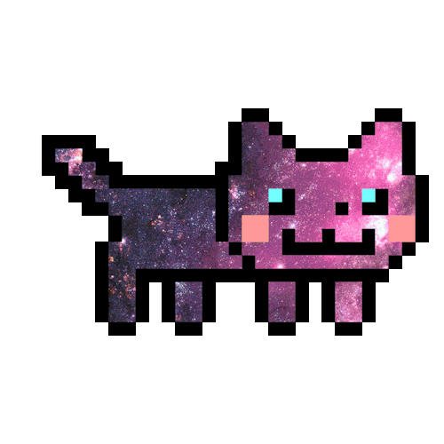 gatinho espacial