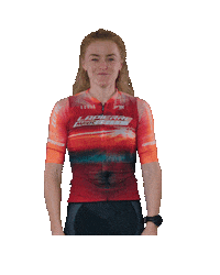 Late Sticker by Lapierre Mavic Unity