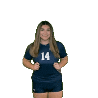 Womens Volleyball Sticker by Clarke University