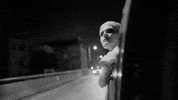 amy_macdonald night dream drive freedom GIF
