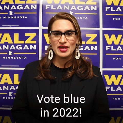 Vote blue in 2022!