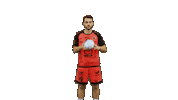 Handball Dragon Sticker by HCCA