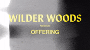 GIF by Wilder Woods