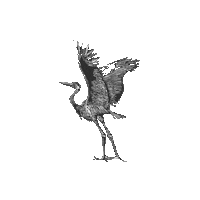 Bird Read Sticker by Darien Library