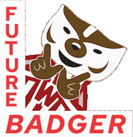 College Badgers Sticker by uwadmissions