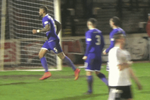 officialdafc giphyupload football celebration fans GIF