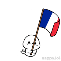 Lets Go Football GIF by Sappy Seals