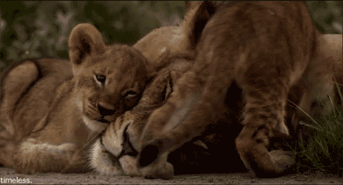 mothers day GIF