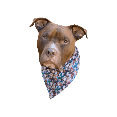 My Hero Academia Pitbull Sticker by Geekster Pets