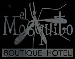 Mosquito Bar GIF by El Mosquito