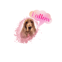 Cocker Spaniel Lady Sticker by Pimp Yo Pets