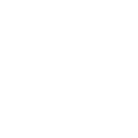 CAMraleigh giphygifmaker Sticker