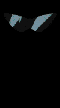 Sun Pokemon GIF
