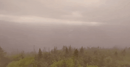 nataliekurgan giphygifmaker giphygifmakermobile GIF