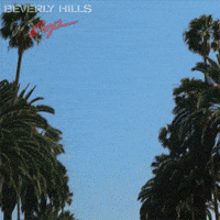 Eddie Murphy GIF by BeverlyHillsCop