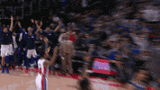 happy lets go GIF by NBA