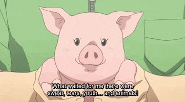 Silver Spoon Japan GIF by All The Anime — Anime Limited
