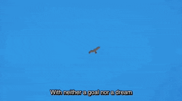 Silver Spoon Fox GIF by All The Anime — Anime Limited