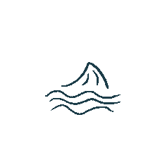 Wave Welle Sticker by Saltwater-Shop.com
