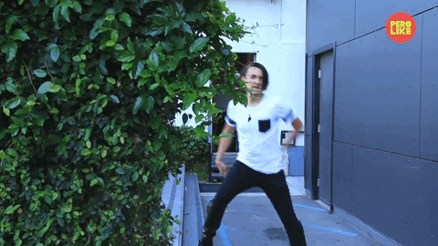 Pero Like GIF by BuzzFeed
