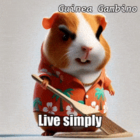 Garden Balance GIF by Guinea Gambino