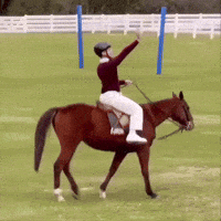 QGLuanAlencar luanalencar luan e caio luan andando de cavalo luancaio GIF