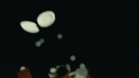 Iwas GIF by Mae Muller