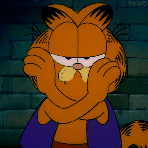 cat orange GIF by Garfield