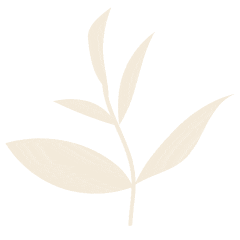 sheedolife giphyupload flower aesthetic plant Sticker