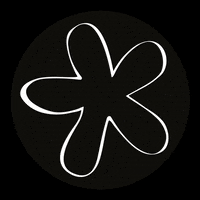 casamokarafloresyeventos new post post newpost flores GIF