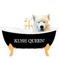 Bath Cbd Sticker by Kush Queen Shop