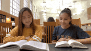 university of california fun GIF by UCDavis