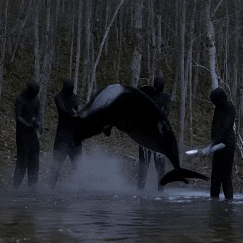 Forest Cross GIF