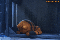 Cat Garfield GIF by Sony Pictures Germany