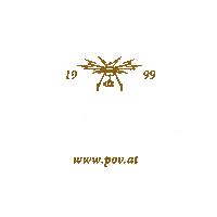 POINT_OF_VIEW video photo drone foto Sticker