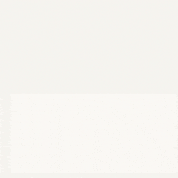 animation falls GIF by Not So Fast Media