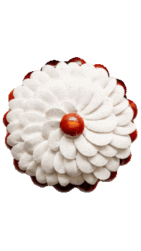 Cake Opera Sticker by Cedric Grolet