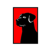 blackdogbuilders renovation remodel blackdog designbuild Sticker