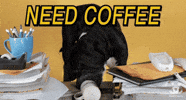 Adopt Best Friends GIF by Best Friends Animal Society