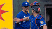 Blue Jays Baseball GIF by Toronto Blue Jays