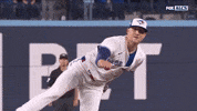 Home Run Baseball GIF by MLB