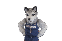 thumbs yes Sticker by UConn Huskies