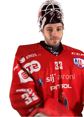 Hockey Goaly Sticker by HDD SIJ Acroni Jesenice